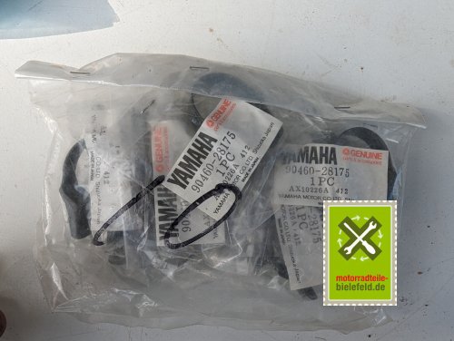 PXL_20240528_161853302